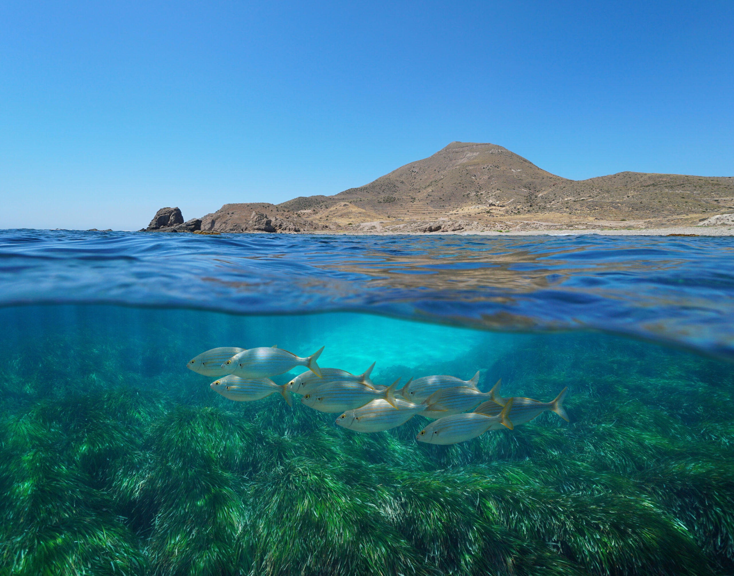 La percezione dei siti marini della Rete Natura 2000 in Spagna nel quadro di LIFE A-MAR, una prima analisi