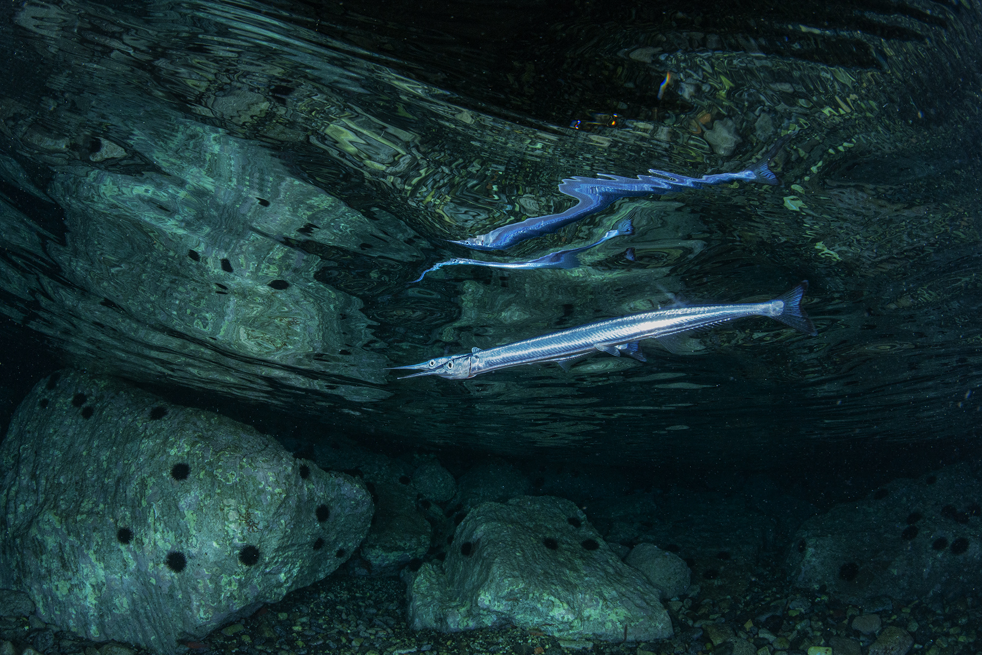 Donde el mar se encuentra con la vida: concurso fotográfico Italia-España
