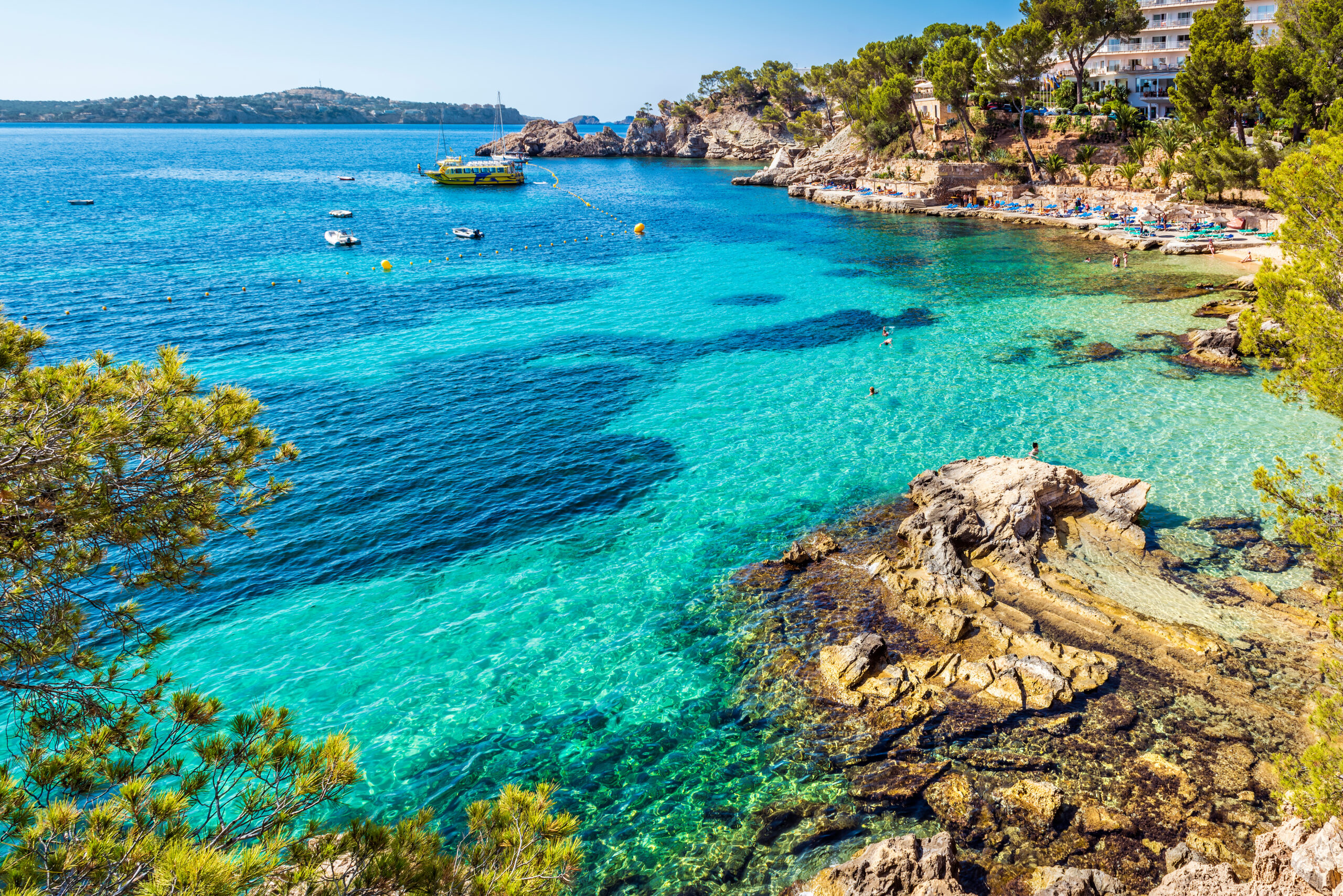 Nuevos Formularios Estándar para las ZEC marinas con el MASE y Sogesid y encuentro de capacitación