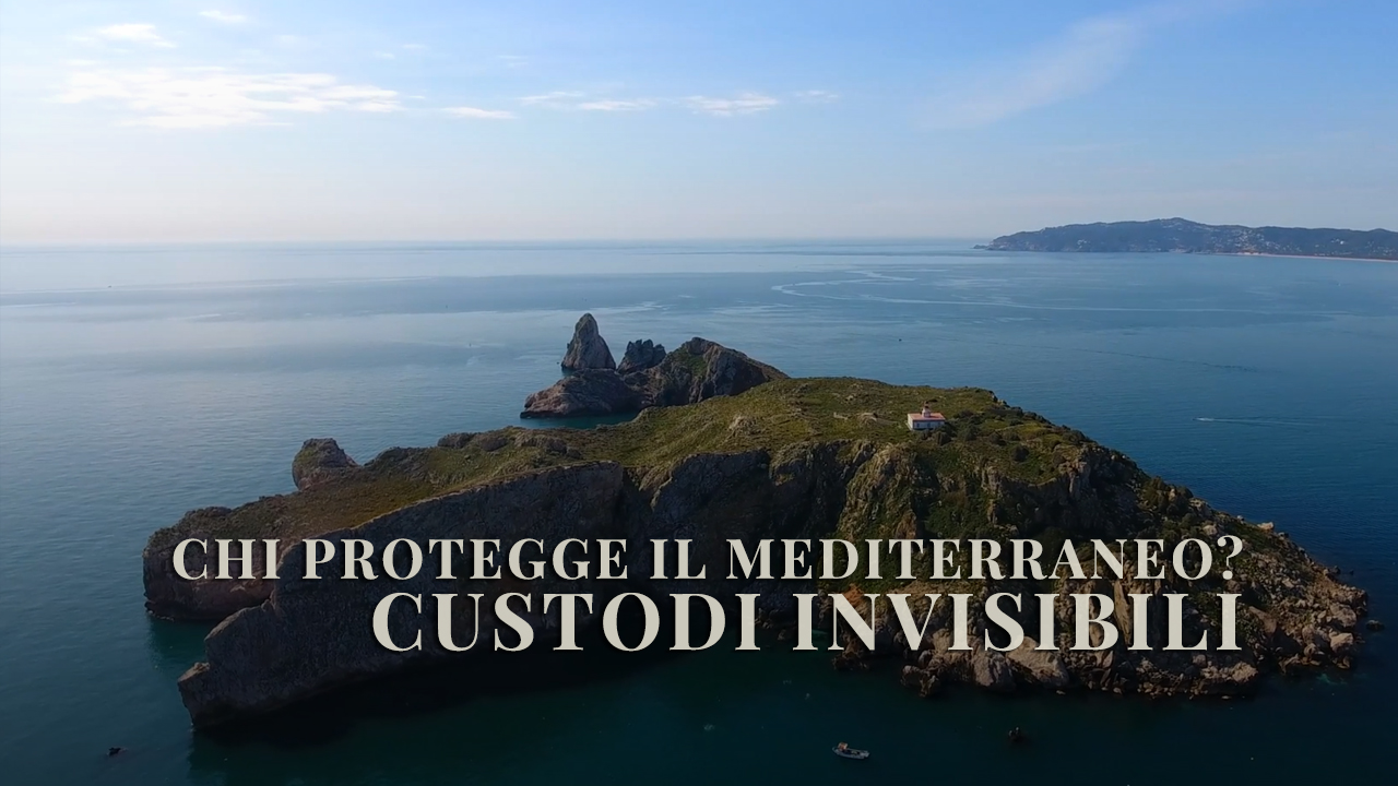 Custodi invisibili: rotte per la biodiversità